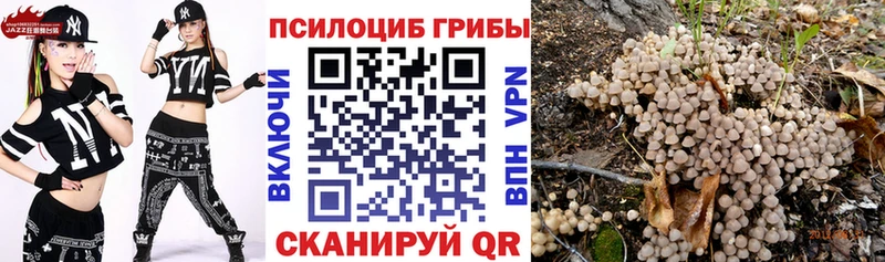 Галлюциногенные грибы ЛСД  Купить  Маркс 